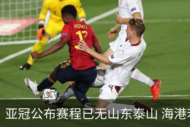 亚冠公布赛程已无山东泰山 海港若递补将赴泰国