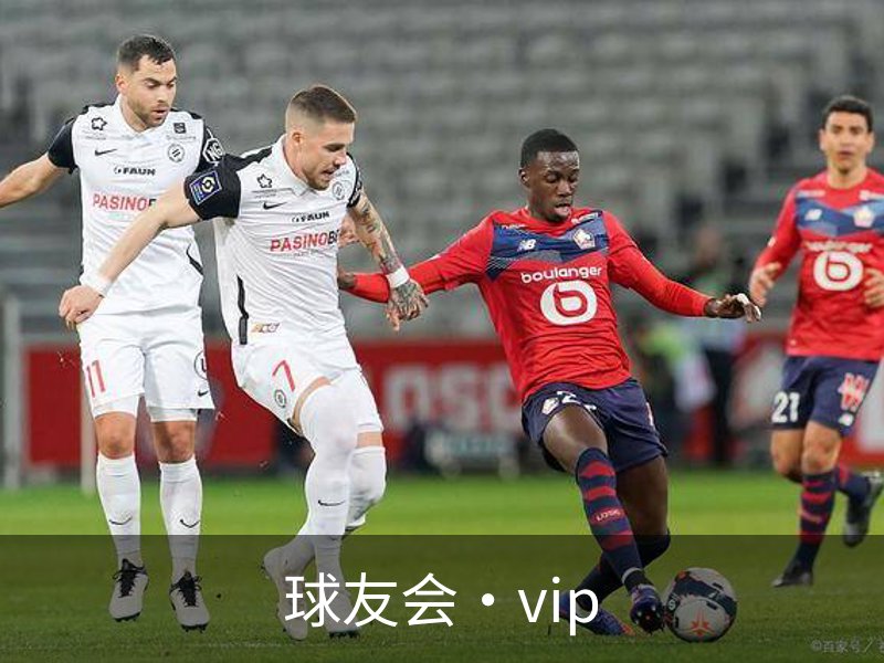 球友会·vip介绍